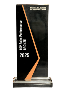 Top Sales Performance 2025