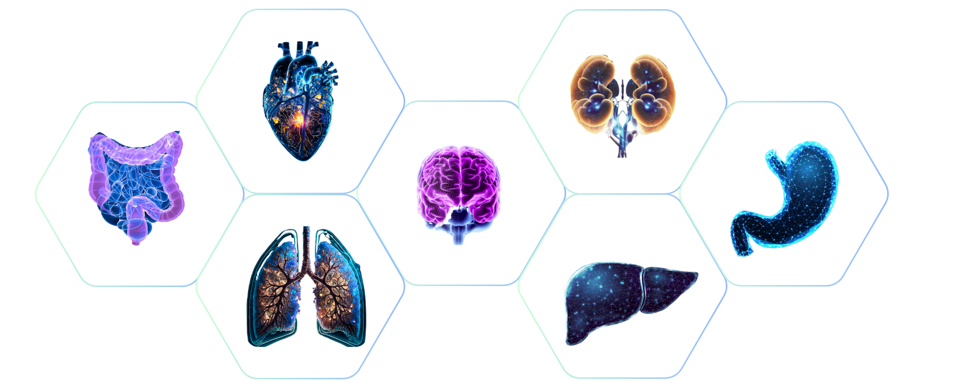 Multi-Specialty