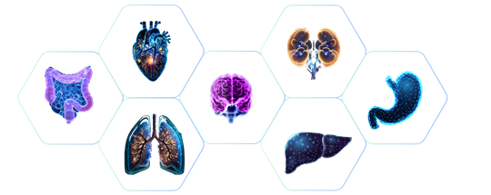 Multi-Specialty