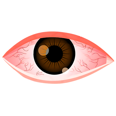 Dry Eye Screening & Treatment System