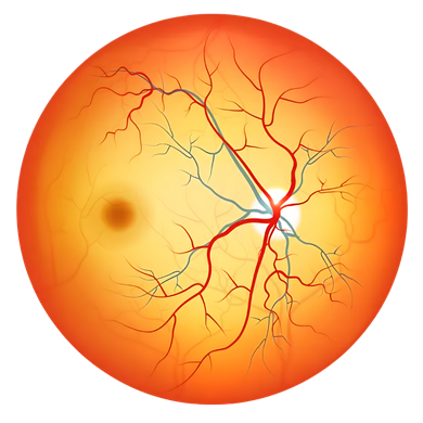 Retinal Imaging